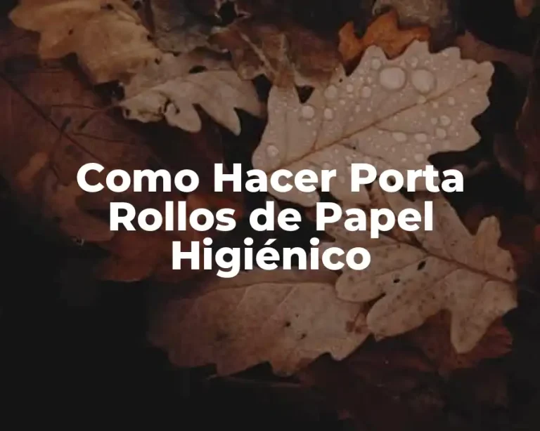 Como Hacer Porta Rollos de Papel Higiénico