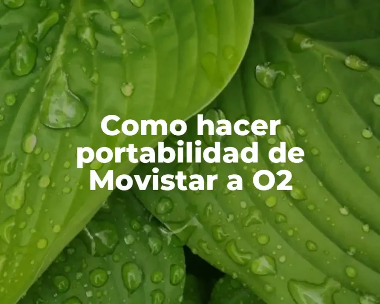 Como hacer portabilidad de Movistar a O2
