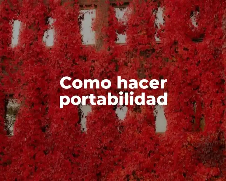 Como hacer portabilidad