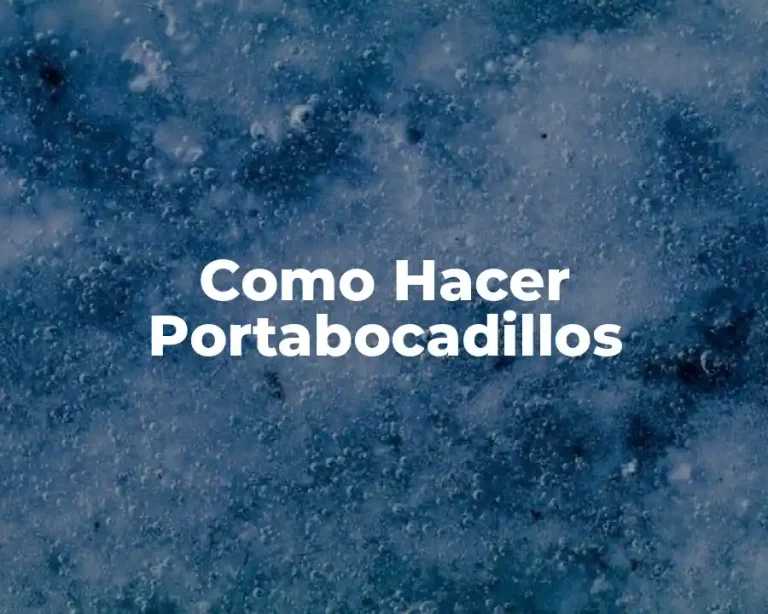 Como Hacer Portabocadillos