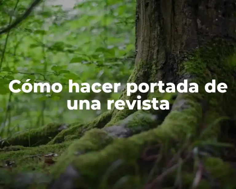 Cómo hacer portada de una revista
