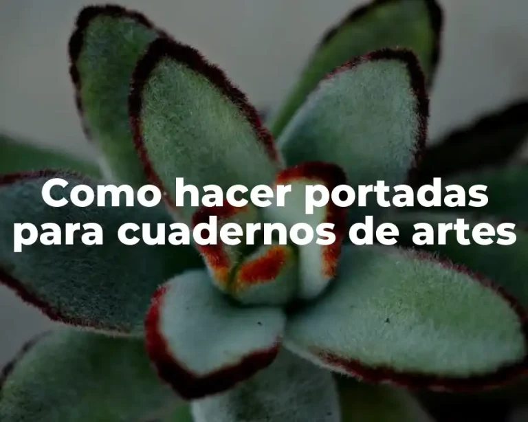 Como hacer portadas para cuadernos de artes