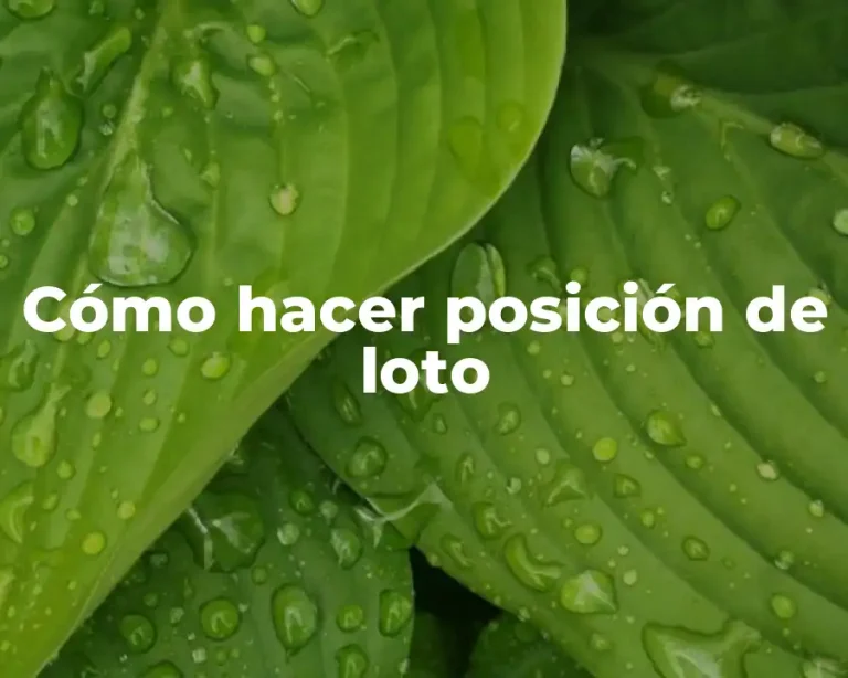 Cómo hacer posición de loto