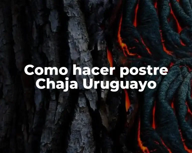 Como hacer postre Chaja Uruguayo