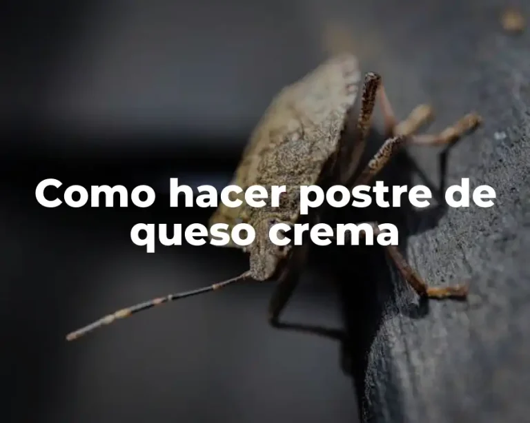 Como hacer postre de queso crema