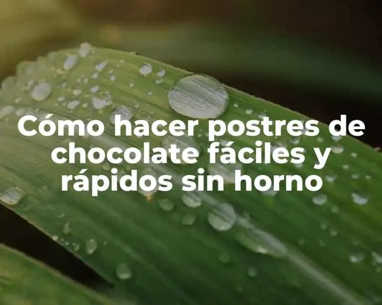 Cómo hacer postres de chocolate fáciles y rápidos sin horno