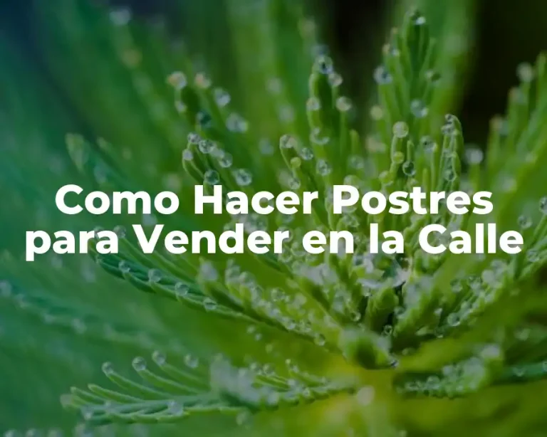 Como Hacer Postres para Vender en la Calle