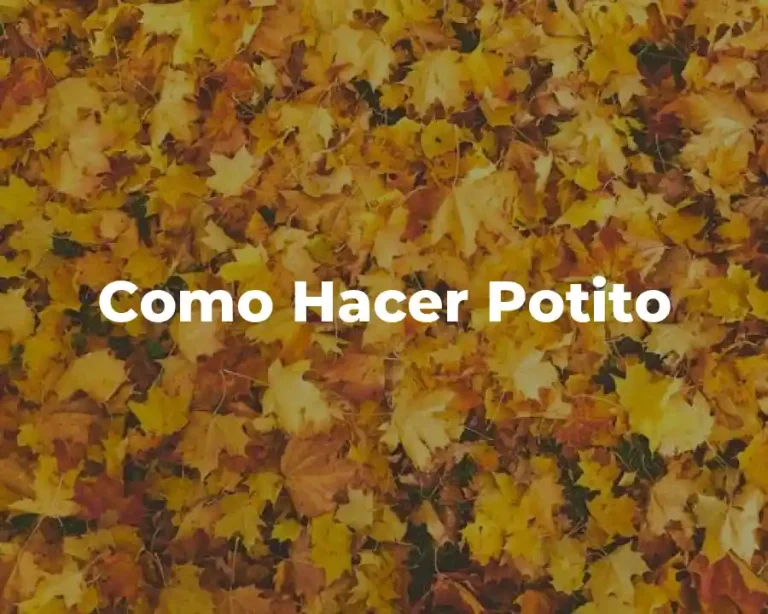 Como Hacer Potito