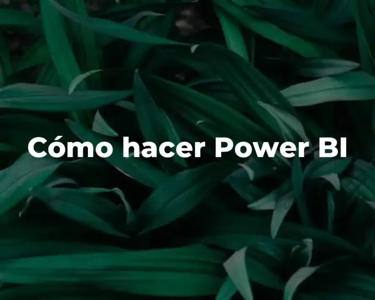 Cómo hacer Power BI