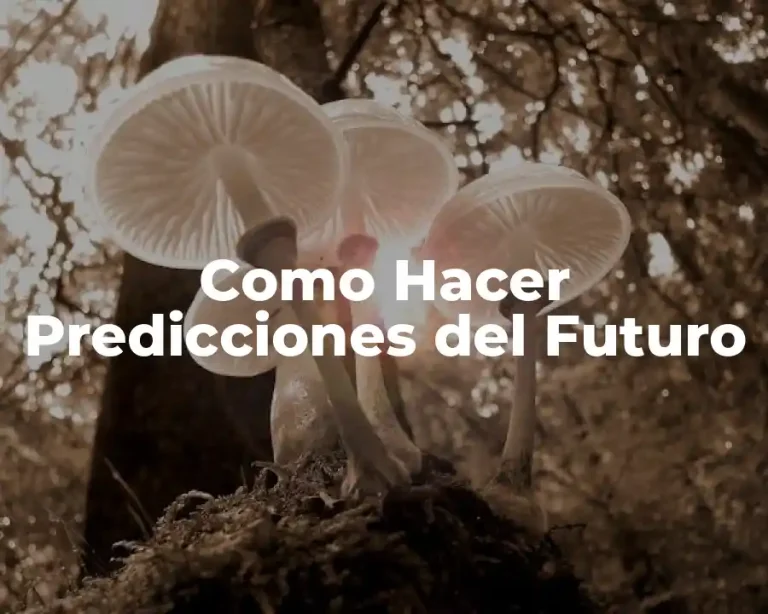 Como Hacer Predicciones del Futuro