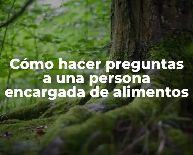 Cómo hacer preguntas a una persona encargada de alimentos