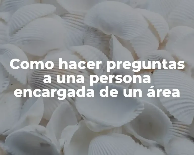 Como hacer preguntas a una persona encargada de un área