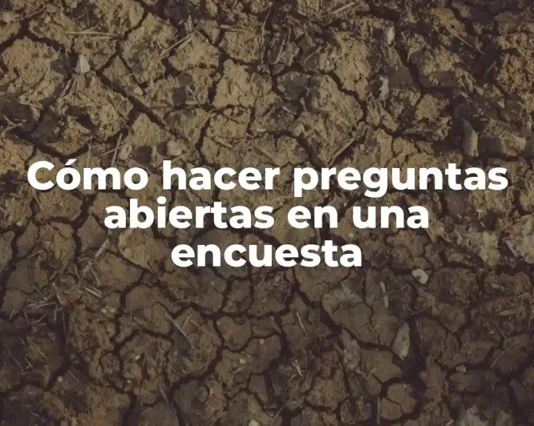 Cómo hacer preguntas abiertas en una encuesta