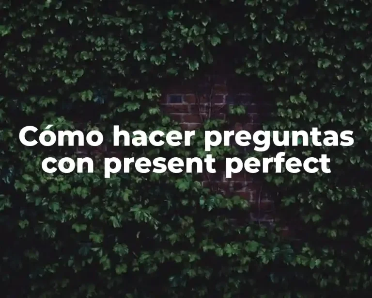 Cómo hacer preguntas con present perfect