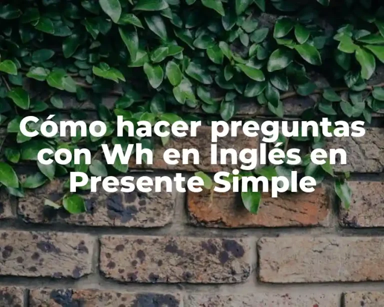 Cómo hacer preguntas con Wh en Inglés en Presente Simple