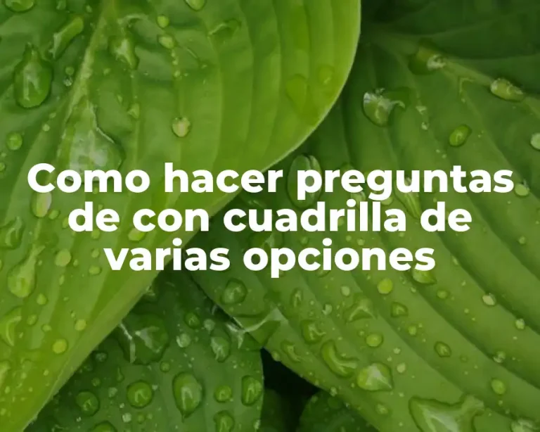 Como hacer preguntas de con cuadrilla de varias opciones