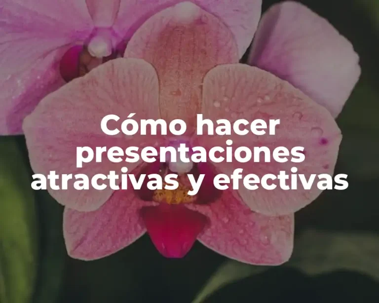 Cómo hacer presentaciones atractivas y efectivas