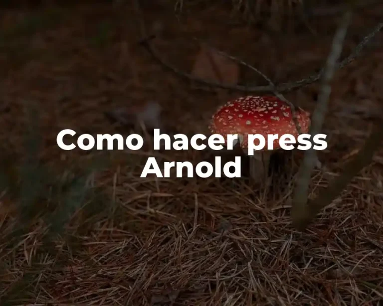 Como hacer press Arnold