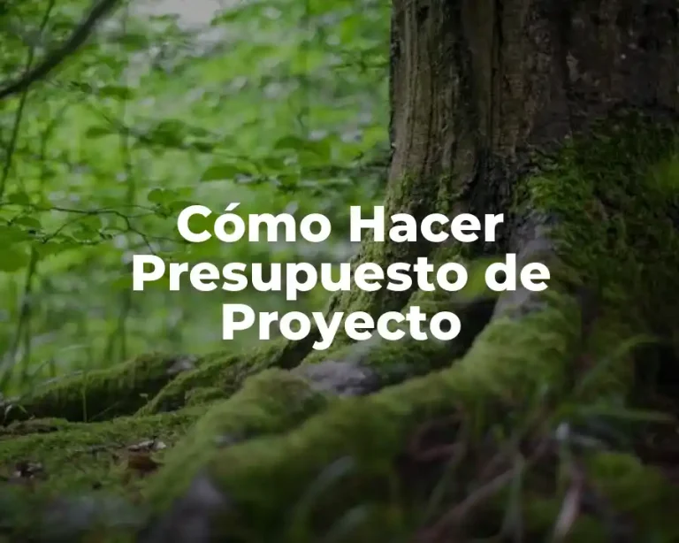 Cómo Hacer Presupuesto de Proyecto