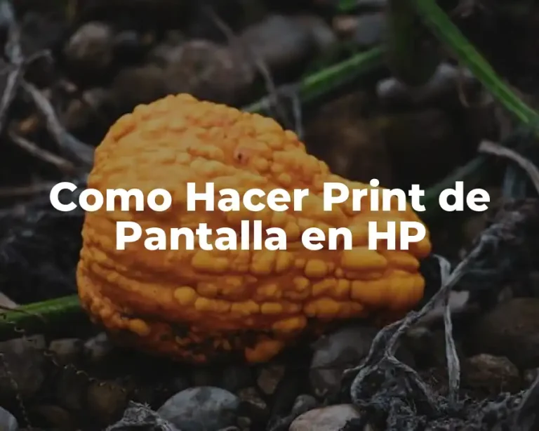 Como Hacer Print de Pantalla en HP