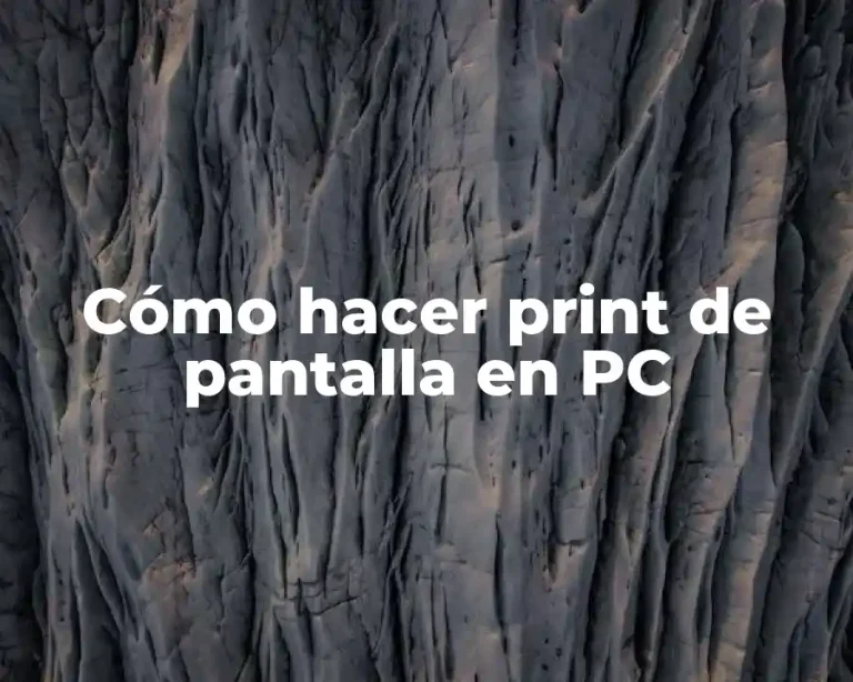Cómo hacer print de pantalla en PC