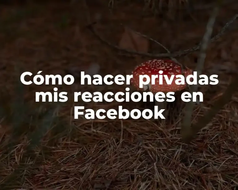 Cómo hacer privadas mis reacciones en Facebook
