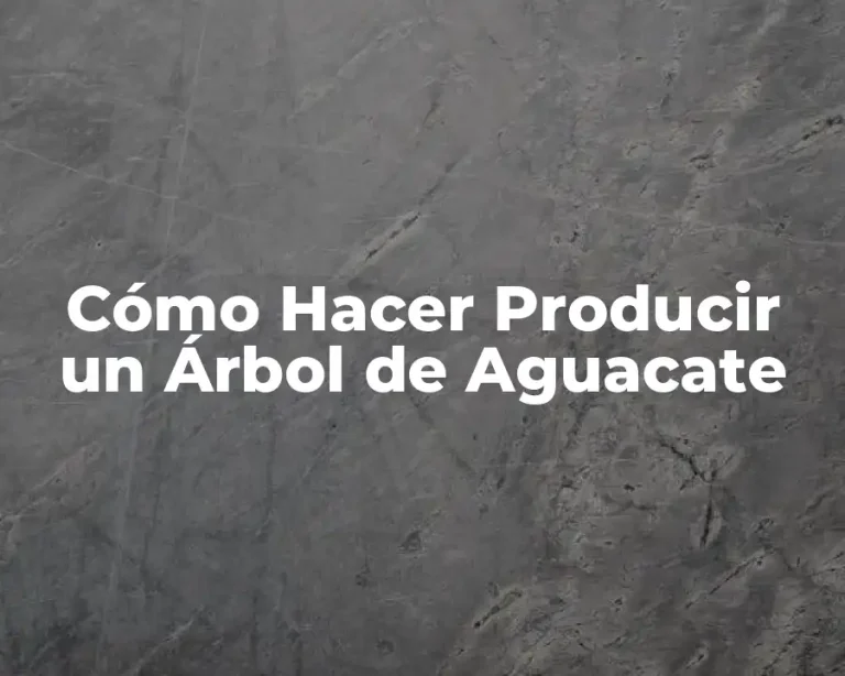 Cómo Hacer Producir un Árbol de Aguacate