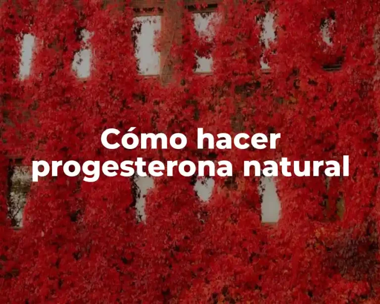 Cómo hacer progesterona natural