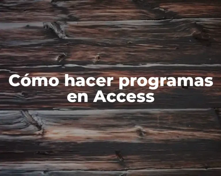 Cómo hacer programas en Access