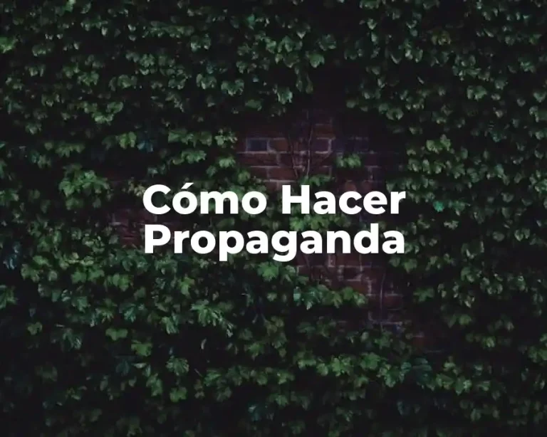 Cómo Hacer Propaganda