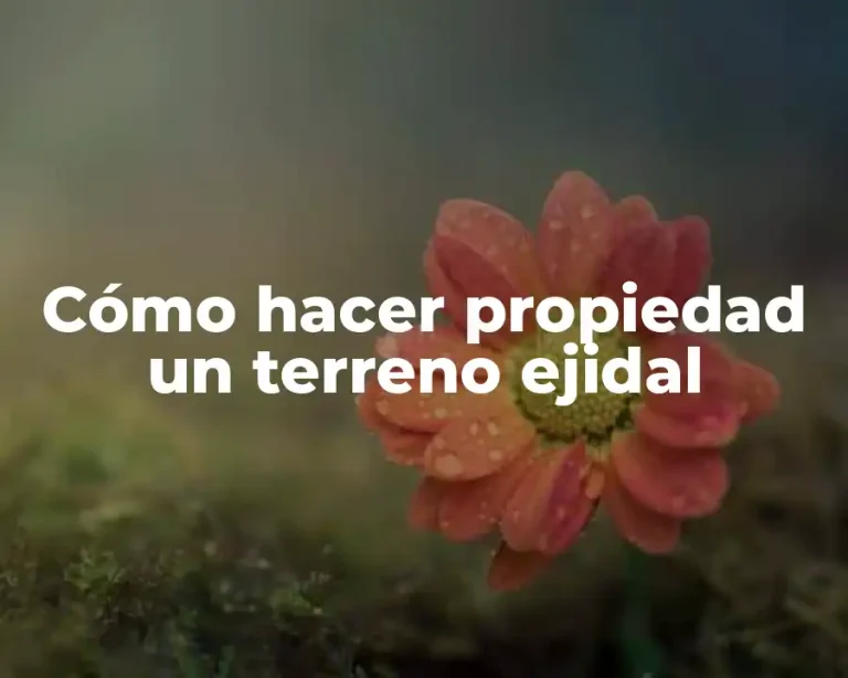 Cómo hacer propiedad un terreno ejidal