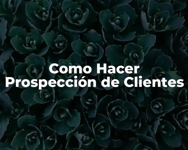 Como Hacer Prospección de Clientes