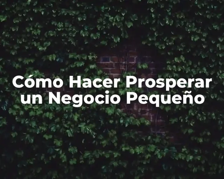 Cómo Hacer Prosperar un Negocio Pequeño