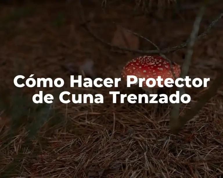 Cómo Hacer Protector de Cuna Trenzado