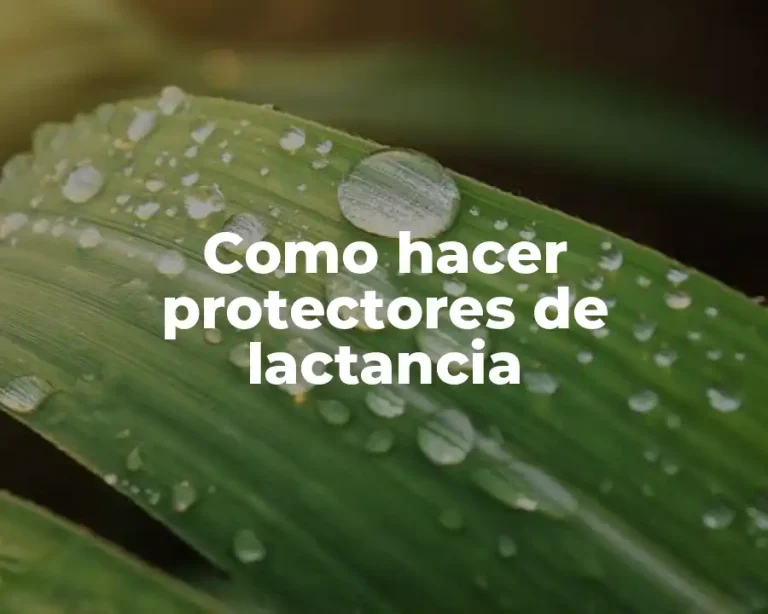 Como hacer protectores de lactancia