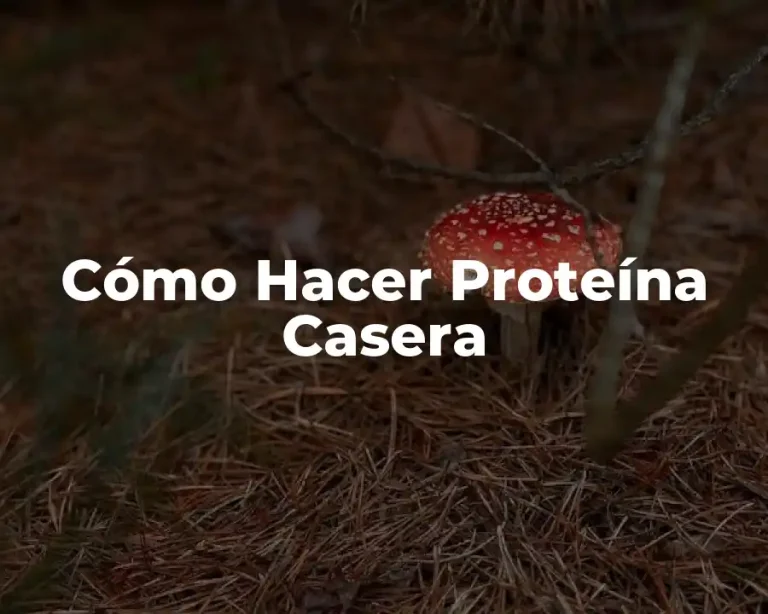 Cómo Hacer Proteína Casera