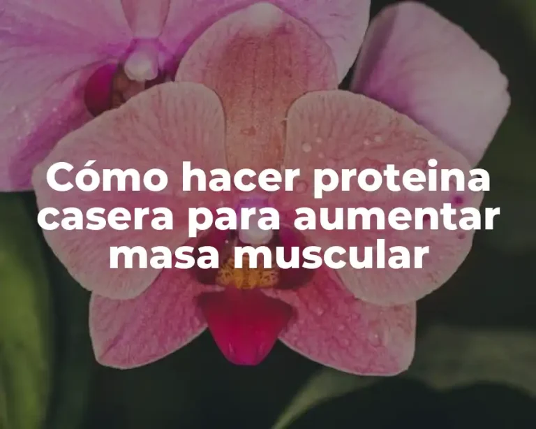 Cómo hacer proteina casera para aumentar masa muscular