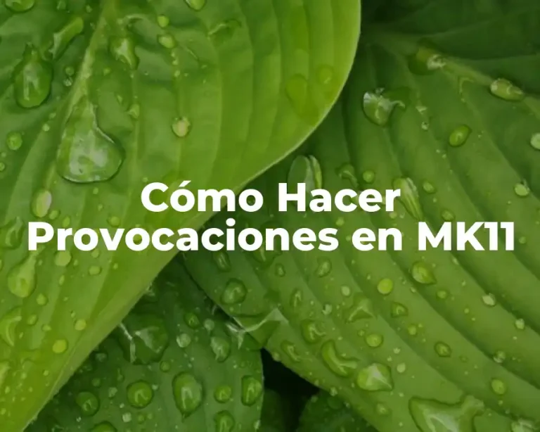 Cómo Hacer Provocaciones en MK11