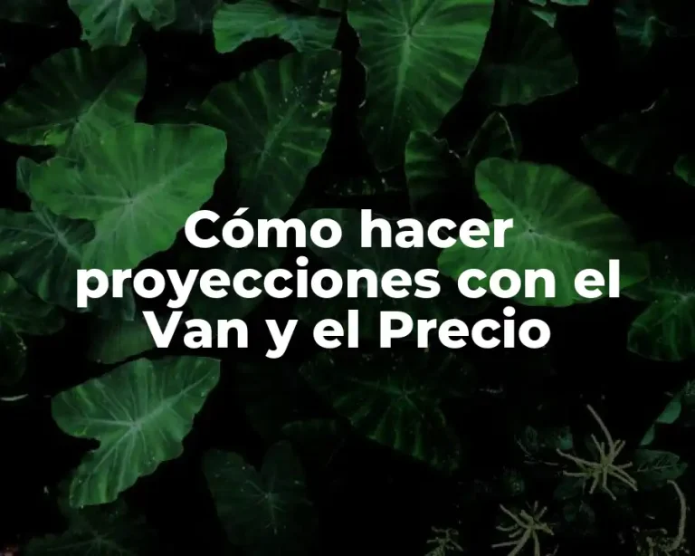 Cómo hacer proyecciones con el Van y el Precio