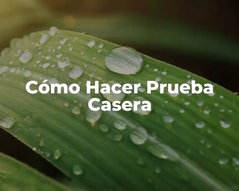 Cómo Hacer Prueba Casera