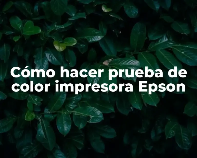 Cómo hacer prueba de color impresora Epson