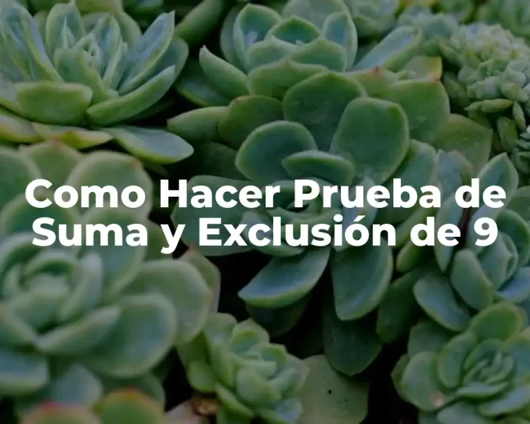 Como Hacer Prueba de Suma y Exclusión de 9