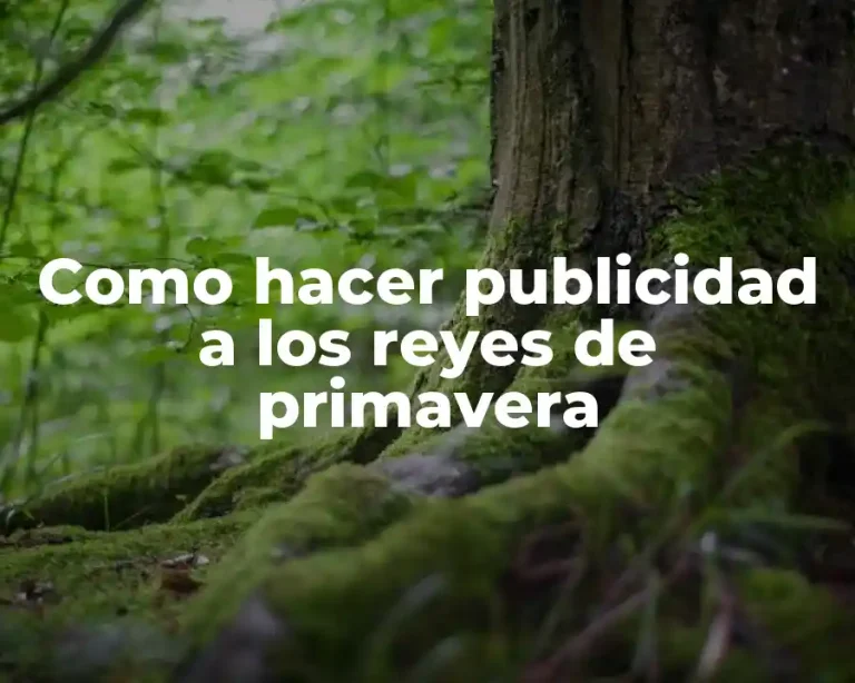 Como hacer publicidad a los reyes de primavera