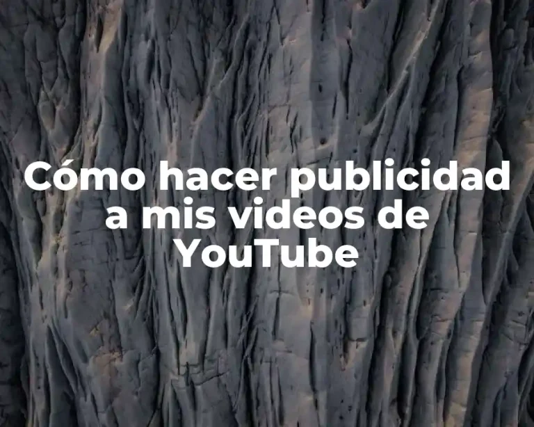 Cómo hacer publicidad a mis videos de YouTube