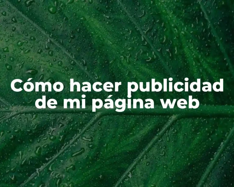 Cómo hacer publicidad de mi página web