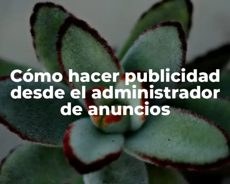 Cómo hacer publicidad desde el administrador de anuncios