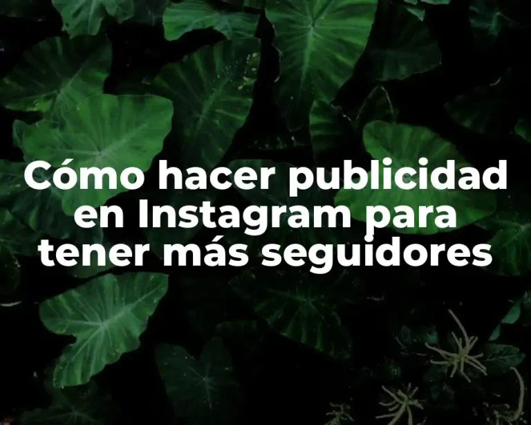 Cómo hacer publicidad en Instagram para tener más seguidores