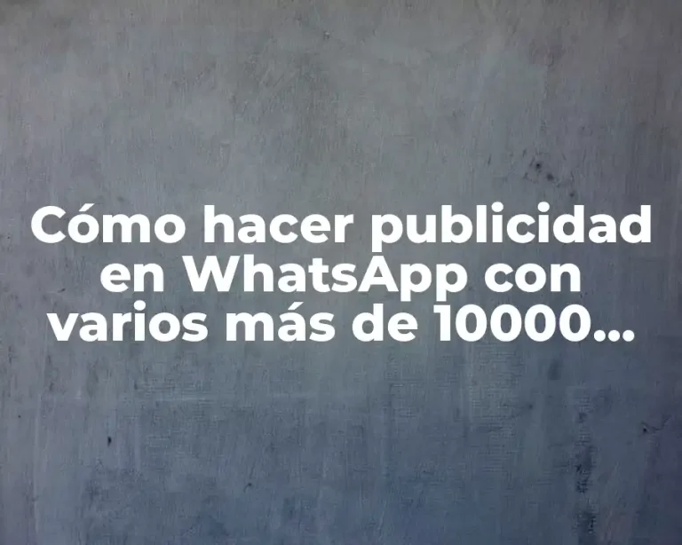 Cómo hacer publicidad en WhatsApp con varios más de 10000 contactos