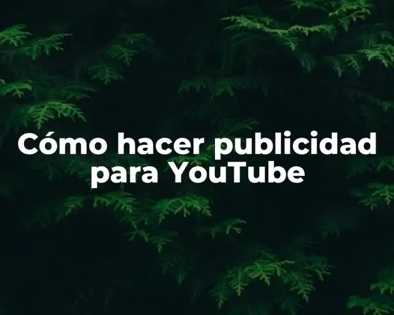 Cómo hacer publicidad para YouTube