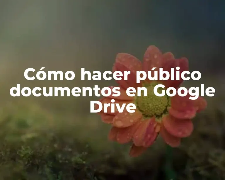 Cómo hacer público documentos en Google Drive